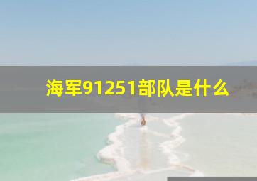 海军91251部队是什么