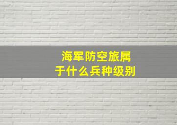 海军防空旅属于什么兵种级别