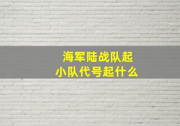 海军陆战队起小队代号起什么