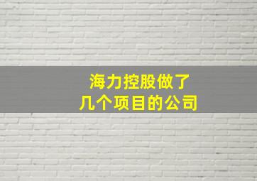 海力控股做了几个项目的公司