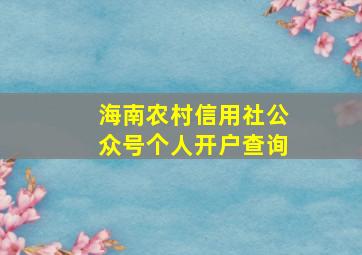 海南农村信用社公众号个人开户查询