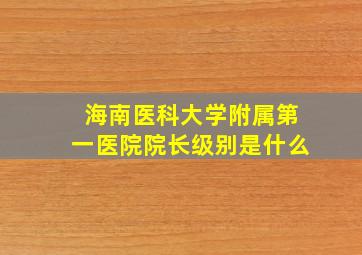 海南医科大学附属第一医院院长级别是什么