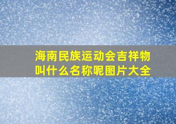 海南民族运动会吉祥物叫什么名称呢图片大全