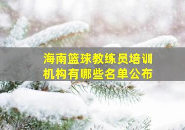 海南篮球教练员培训机构有哪些名单公布