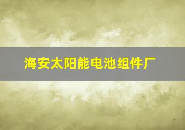 海安太阳能电池组件厂