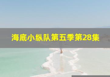 海底小纵队第五季第28集