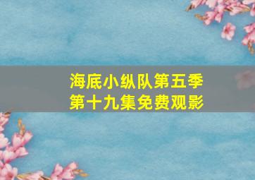 海底小纵队第五季第十九集免费观影