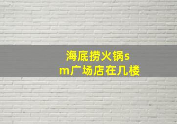 海底捞火锅sm广场店在几楼