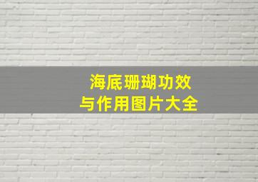 海底珊瑚功效与作用图片大全