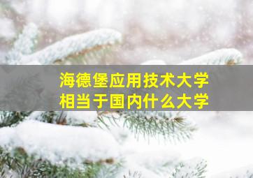 海德堡应用技术大学相当于国内什么大学