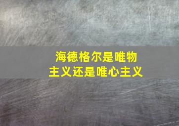 海德格尔是唯物主义还是唯心主义