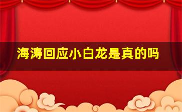 海涛回应小白龙是真的吗