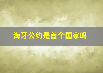 海牙公约是首个国家吗