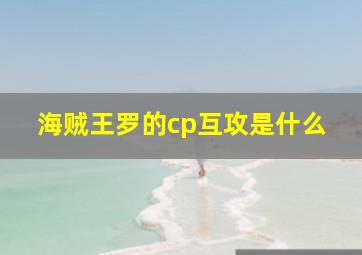 海贼王罗的cp互攻是什么