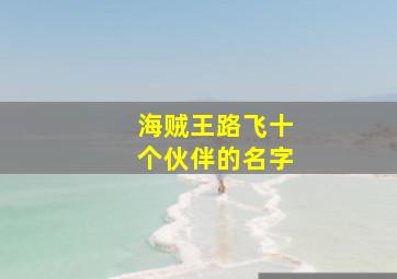 海贼王路飞十个伙伴的名字