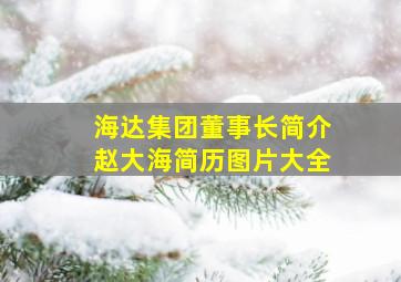 海达集团董事长简介赵大海简历图片大全