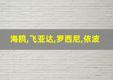 海鸥,飞亚达,罗西尼,依波