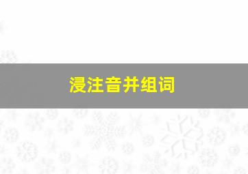 浸注音并组词