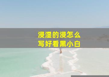 浸湿的浸怎么写好看黑小白