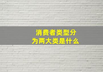 消费者类型分为两大类是什么