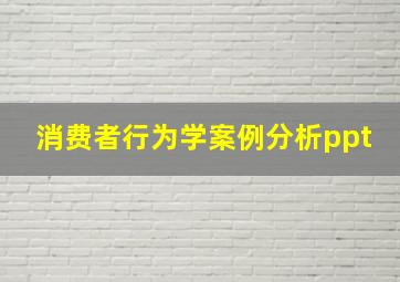 消费者行为学案例分析ppt