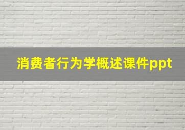 消费者行为学概述课件ppt