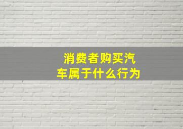 消费者购买汽车属于什么行为