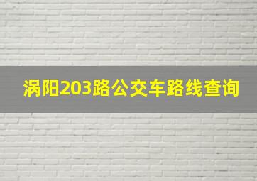 涡阳203路公交车路线查询