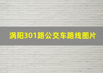 涡阳301路公交车路线图片