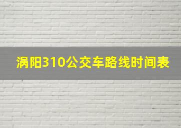 涡阳310公交车路线时间表