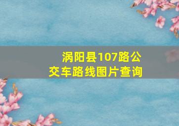 涡阳县107路公交车路线图片查询