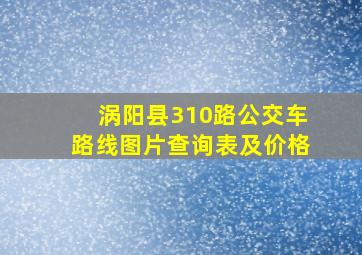 涡阳县310路公交车路线图片查询表及价格