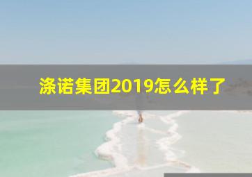 涤诺集团2019怎么样了