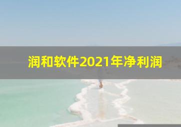 润和软件2021年净利润