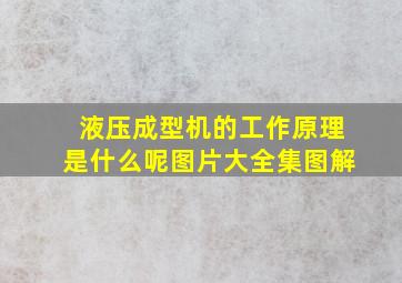 液压成型机的工作原理是什么呢图片大全集图解