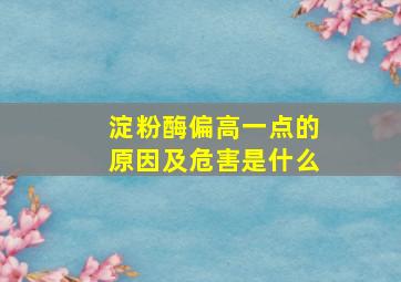 淀粉酶偏高一点的原因及危害是什么