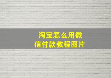 淘宝怎么用微信付款教程图片