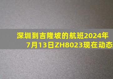 深圳到吉隆坡的航班2024年7月13日ZH8023现在动态