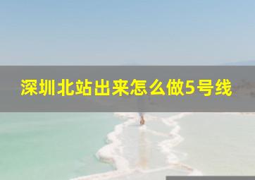 深圳北站出来怎么做5号线