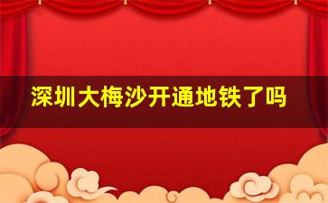 深圳大梅沙开通地铁了吗