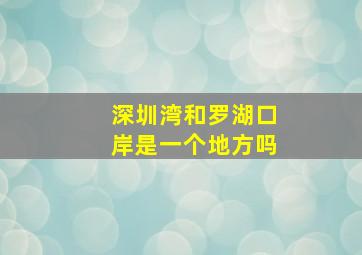 深圳湾和罗湖口岸是一个地方吗