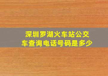 深圳罗湖火车站公交车查询电话号码是多少