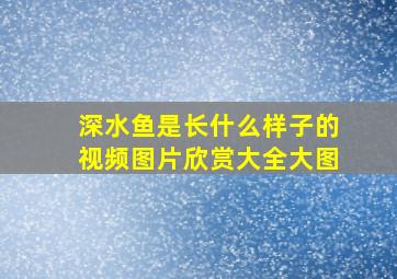 深水鱼是长什么样子的视频图片欣赏大全大图