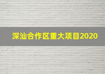 深汕合作区重大项目2020