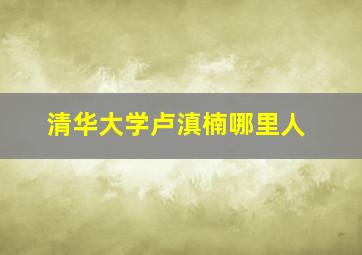 清华大学卢滇楠哪里人