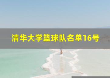 清华大学篮球队名单16号