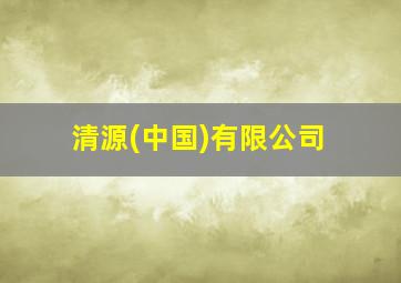 清源(中国)有限公司