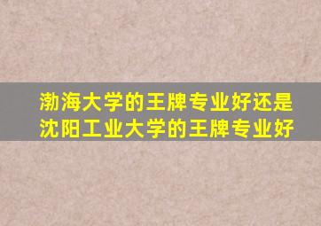 渤海大学的王牌专业好还是沈阳工业大学的王牌专业好