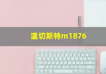 温切斯特m1876