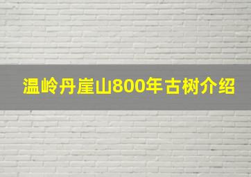 温岭丹崖山800年古树介绍